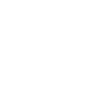 mapuchelocoblanco